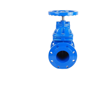 Ggg50 pn10 pn16 फ्लैंज गैर-बढ़ते स्टेम नरम सीलिंग डटाइल कास्ट आयरन गेट वाल्व B5163/एनसी - Product Image 5