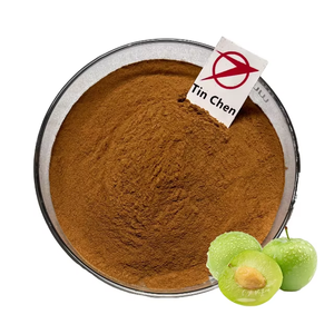 Poudre d'extrait <span class=keywords><strong>de</strong></span> prune verte 10:1/20:1/30:1 Multi-spécifications Poudre <span class=keywords><strong>de</strong></span> fruit <span class=keywords><strong>de</strong></span> prune verte concentrée hydrosoluble - Product Image 1
