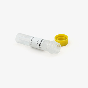Hua Chenyang Pfu ADN Polimerasa 500u1ml Enzima de Alta Fidelidad para Aplicaciones de PCR - Product Image 3