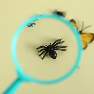 Lensa observasi luar ruangan pegangan anak-anak warna-warni plastik 3X <span class=keywords><strong>60MM</strong></span> kaca pembesar hadiah kaca pembesar Ilmiah - Product Image 5