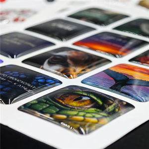 Autocollant en résine époxy transparente 3D personnalisé BONI avec logo de marque pour voiture, artisanat, pack, coque de téléphone - Product Image 4