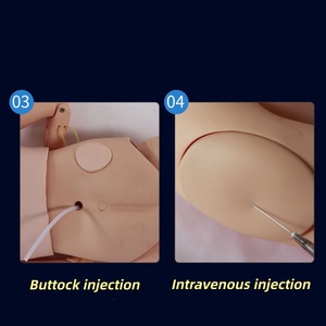 Modelo Multifuncional de Reanimación Cardiopulmonar para Entrenamiento de Cuidadores en Intubación Traqueal, Inyección y Cateterización - Product Image 2