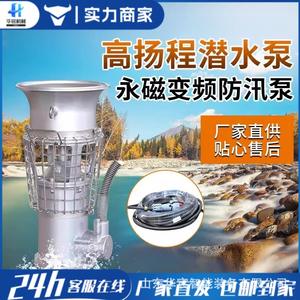 Bomba Sumergible de Flujo Axial de Acero Inoxidable, Portátil, de Flujo Grande, para Control de Inundaciones con Frecuencia Variable Magnética, para Emergencias - Product Image 4