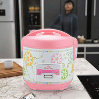 Cuisinière à riz électrique nationale 500W, boîtier en plastique, cuve antiadhésive, écologique