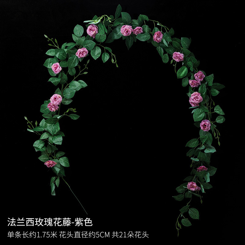 Vigne de rose française violette