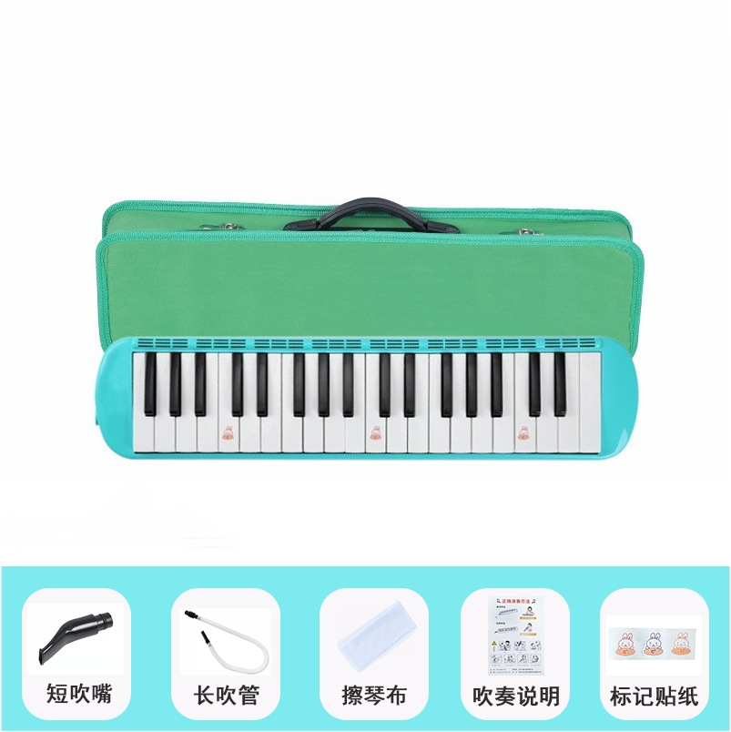 How to Choose Vina Musical Instruments: A Complete Buying Guide