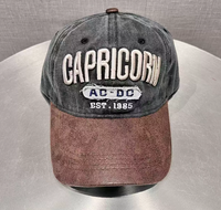 Gorra de Béisbol Personalizada de Alta Calidad Unisex de 6 Paneles de Sarga de Algodón con Logotipo Bordado en 3D y Letras en Relieve