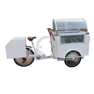 2024 Front Load 3 Wheels Electric Tricycles Adult Cargo Bike Bicycles Mobile Ice Cream Food Cart Freezer Tricycle