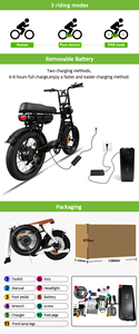 Bicicleta eléctrica 7Go EB4 EB2 de alta calidad Super Cool 73 E-Bike para que las personas monten bicicleta eléctrica de neumáticos gruesos - Product Image 6