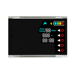 Pantalla LCD de segmento hecho a medida, Color blanco sobre negro, para equipos de riego - Product Image 3