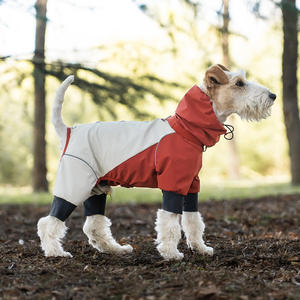 Chubasquero de verano personalizable para perros, impermeable, a prueba de viento, ajuste perfecto para galgos, Golden Retrievers franceses - Product Image 3