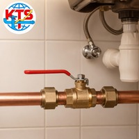 Robinet à bille en laiton 1/2 pouce NPT à filetage femelle, basse pression, levier à quart de tour, pour eau, huile, gaz, raccords de plomberie, OEM