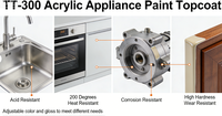 TT-300 Weishibao Shandongjining Revêtement Acrylique pour Appareils, Résistant à l'Usure, Ajustable, Haute Résistance à la Corrosion Acide 200, Haute Dureté
