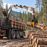 Rimorchio Forestale da 6 Tonnellate con Gru Idraulica da 4,7m, Rimorchio per Trattore con Pompa a Pistone per Carico Tronchi