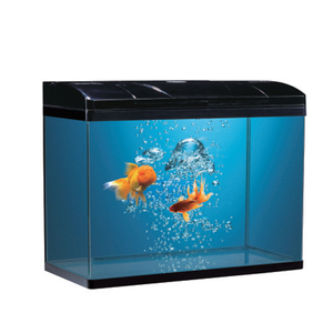 2 Gallon Vis Tank Glas <span class=keywords><strong>Aquarium</strong></span> Voor Woonkamer - Product Image 6