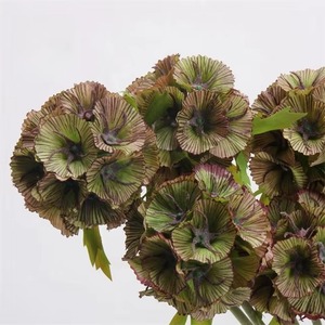 Flor Artificial de Seda Verde de Alta Calidad con Tallo Único y Vaina de Semillas de Scabiosa para Decoración del Hogar, Bodas y Arreglos Florales - Product Image 3