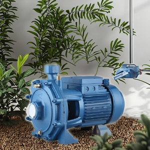 Bomba de agua para riego de jardín WB550 0.75HP 0.55KW TECHNIC POWER, autocebante, eléctrica, de hierro fundido - Product Image 4