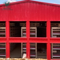 Nave Avícola Prefabricada de Acero Resistente al Viento para Gallinas Ponedoras y de Engorde, Ideal para Zonas Costeras