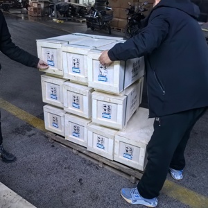 Stabile Leistung BY612600081317 Kraftstoff-Förderpumpe - Product Image 5