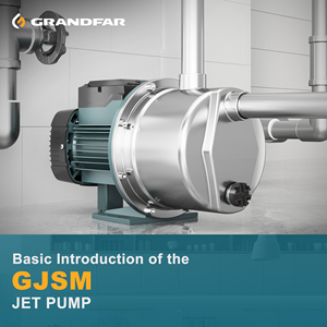 GRANDFAR 0.8HP OEM農業ジェットブースターポンプステンレス鋼電気セルフプライミングポンプ灌漑用 - Product Image 5