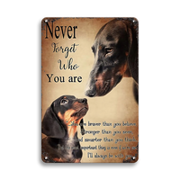 Carteles de chapa de perro Vintage divertidos decorativos, placas de Metal de advertencia de animales personalizadas para caseta de perro con precio de fábrica