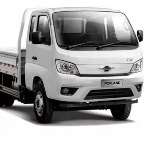 FOTON FORLAND-camión diésel de 3 toneladas con cabina única de 1620MM y cuerpo de carga más largo de 3,4 M, nuevo