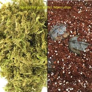 <span class=keywords><strong>Terrarium</strong></span> et boîte d'hibernation <span class=keywords><strong>pour</strong></span> reptiles en plastique-Cage ventilée <span class=keywords><strong>pour</strong></span> tortues, araignées, grenouilles à cornes et geckos - Product Image 4