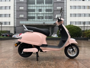 Trottinette Électrique Sans Balais 1000W, 45km/h, Design Tendance pour Trajets Quotidiens, Deux Roues, Grande Autonomie, Batterie Plomb-Acide ou Lithium, Moteur Haute Puissance 1000W/1 - Product Image 6