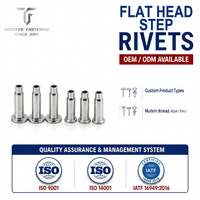 TianFang rivets étagés à tête plate pour la construction | Fabrication OEM sur mesure, fixations de précision selon plan client