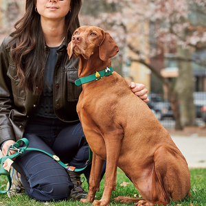 Juego de Correa y Collar para Perros y Gatos 2025, Diseño Moderno, Logotipo Personalizado, Lujo, PVC Impermeable, Porta Bolsas para Excrementos - Product Image 5