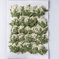 Fleurs séchées pressées en gros avec tige pour résine, décoration DIY, nail art, coques de téléphone, fabrication de bougies et cartes postales