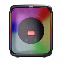 Haut-parleurs portables 25W alimentés par T 8 pouces Bon prix Haut-parleur de fête en plein air Bt Trolley avec enceinte Bluetooth portable