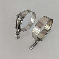 Collier de serrage en acier inoxydable de haute qualité, collier de serrage en T, collier de serrage super en T avec ressort