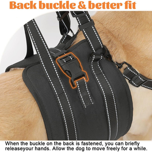 Harnais de levage pour chien, pour chiens âgés ou handicapés, arthrite, blessures articulaires, soutien à la rééducation, aide à la marche, harnais de levage pour animaux de compagnie - Product Image 3