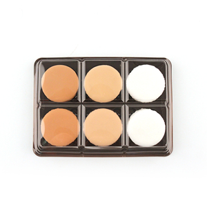 Hot Sales Clear Blister 6 Holes Macaron Packaging Box Macaron Tray Plastic Tray Container with Lid