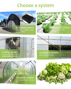 温室用金属フレーム野菜栽培用ポータブル農業用農業用グリーンハウスフルセット - Product Image 5