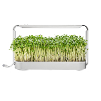 Kit de serre de culture d'herbes aromatiques d'intérieur avec lumière LED, système de culture hydroponique intelligent, mini-jardin à spectre complet, idées cadeaux, garantie 3 ans
