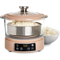 Cuisinière à riz multifonctionnelle portable en verre de 3 L à faible teneur en glucides avec panier filtrant à levage automatique, cuiseur vapeur pour riz, céréales et avoine pour la maison