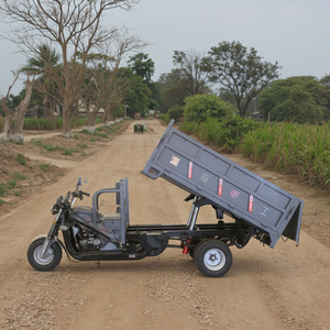 Triciclos de gasolina de 200cc personalizados al por mayor, triciclo de carga de cuerpo abierto con conducción motorizada, triciclos alquilados refinados de China, motocicleta - Product Image 2