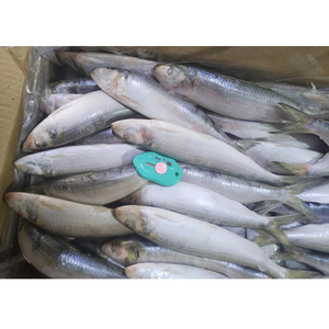 Sardinas Congeladas al por Mayor de China, Omega IQF, Bajo <span class=keywords><strong>Precio</strong></span> por Tonelada, Lotes para Compradores, Buena Calidad - Product Image 4