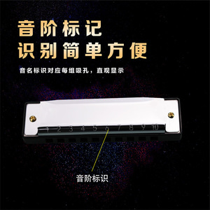 Armónica Feifan de 10 orificios, instrumento musical de metal plateado para niños de 4 a 6 años - Product Image 5