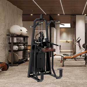 Vente directe d'usine, équipement de fitness pour salle de sport, machine d'entraînement commercial, machine d'assistance pour tractions/dips - Product Image 5