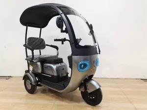 2024 New Latest Electric Tricycle Household Tricycle Electric Bike With Rain Cover