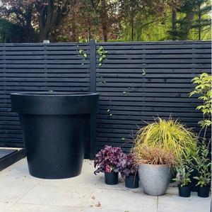 กระถางปลูกไม้กระบองเพชรอวบน้ำสำหรับตกแต่งพลาสติกทรงกลมพร้อมดอกบานร่าเริงเหมาะสำหรับล็อบบี้ของโรงแรม - Product Image 3