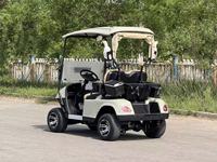Voiturette de golf électrique 2 places pour la chasse et le golf en parc
