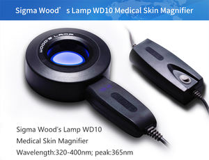 시그마 SW-10 디지털 피부경 검사기 휴대용 피부 검사 도구 (임상 피부과용) - Product Image 5