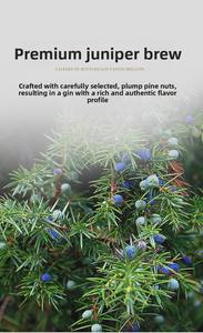 Ginebra <span class=keywords><strong>de</strong></span> Bayas <span class=keywords><strong>de</strong></span> Enebro al 40% vol. en Cubeta <span class=keywords><strong>de</strong></span> 5L, Venta al por Mayor |   Proveedor B2B Especializado en Catering y <span class=keywords><strong>Bares</strong></span> - Product Image 6