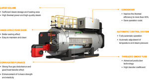 Máquina de condensación pequeña caldera de vapor WNS de fuel de baja presión para línea de producción de leche - Product Image 6