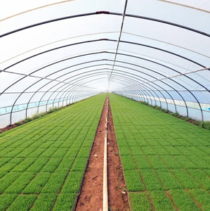 Película de Plástico de Polietileno de Alta Calidad para Invernaderos Agrícolas para la Producción de Vegetales, Longitud Personalizable - Product Image 4