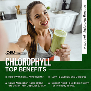 Tetesan cairan klorofil organik alami tetesan klorofil organik konsentrat rasa Mint dukungan kekebalan tubuh suplemen energi grosir - Product Image 2